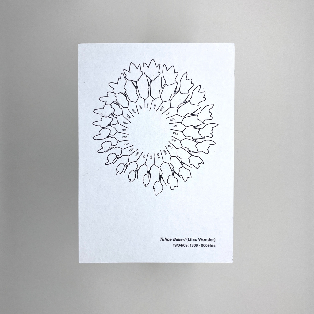 A postcard with a circle of black line illustrations shaped like leaves. It looks a little like a flower or some kind of crazy clock design 