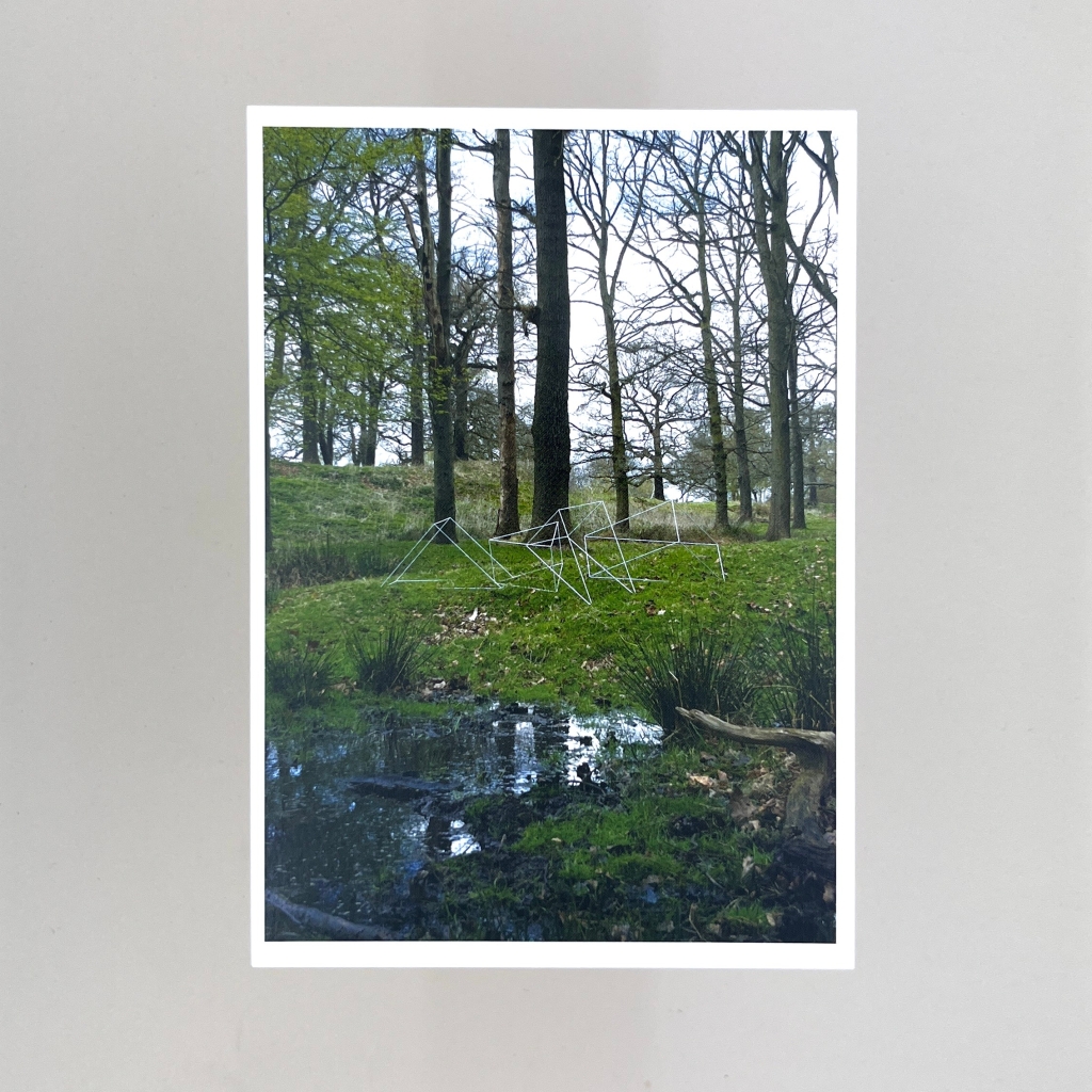 Postcard of a woodland scene with a little water in the foreground. In the middle of the shot on the grass is a geometric composition of what looks like white metal tubing. 