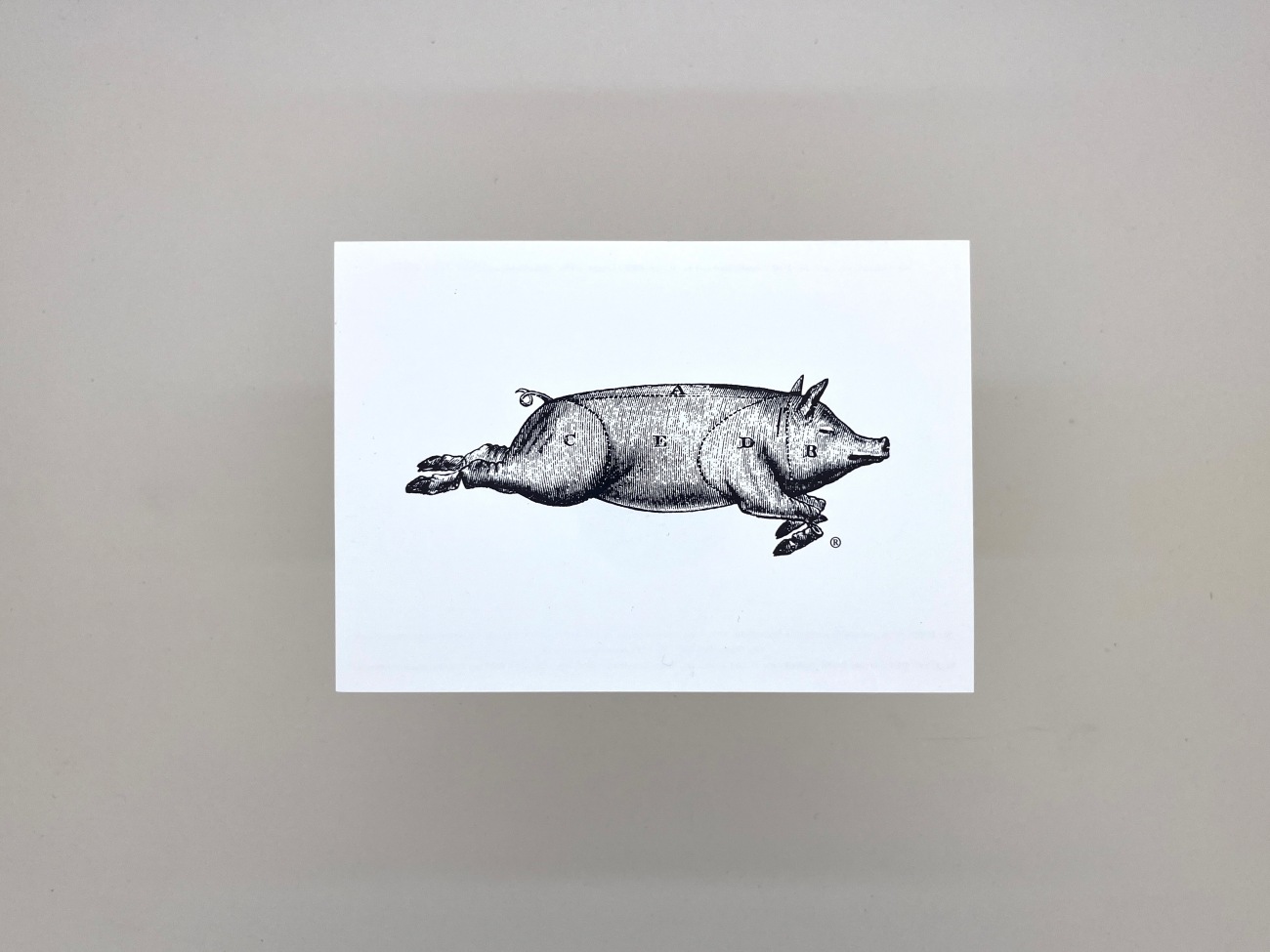 Old style etching illustration of a pig with letters on it that likely indicate cuts of meat 